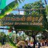 Pongal Vizha 2025 - PongalVizha2025