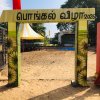 Pongal Vizha 2026 - Pongal_Vizha_2026